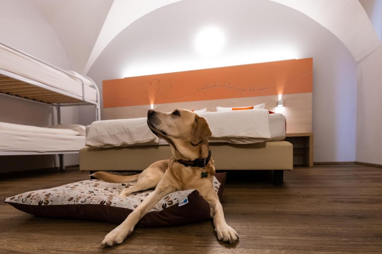 Albergo Casavecchia Tiarno di Sopra Exteriör bild